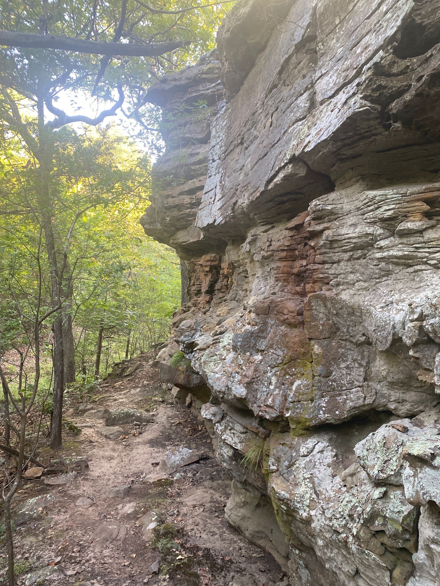 Falls Rock Bluff