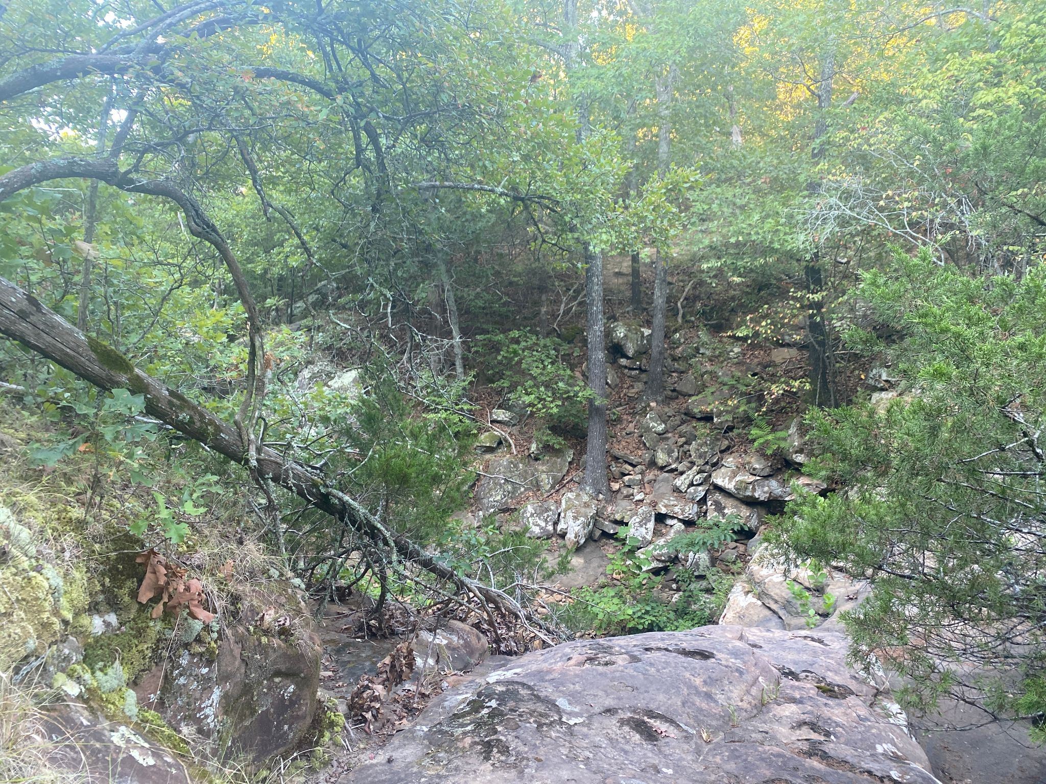 Falls Waterfall Looking South