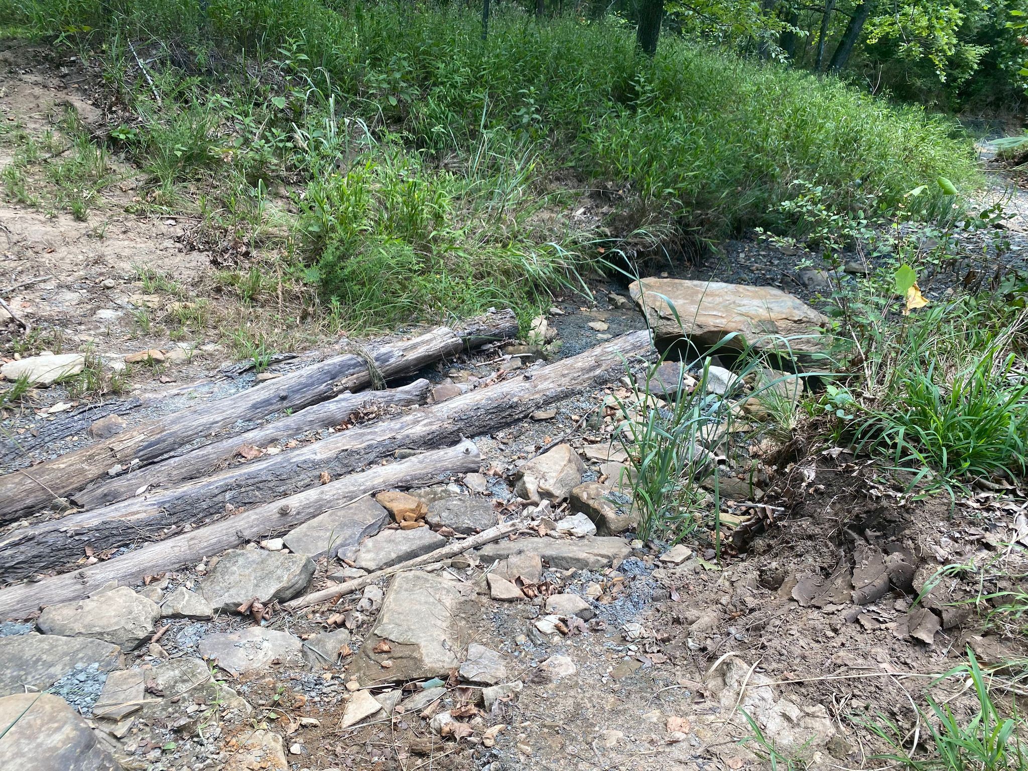 Less Traveled Creek Crossing