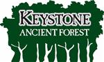 Forest Logo